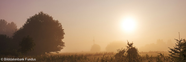 Sonnenaufgang über Wiesengrund