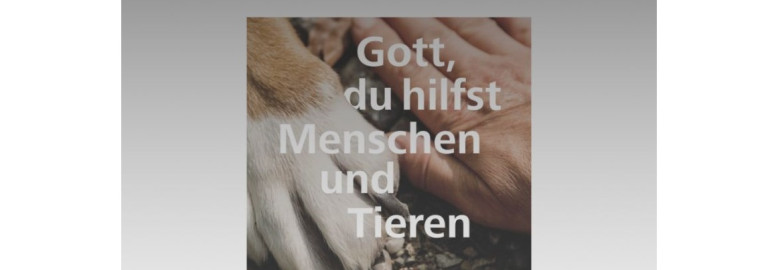 Andacht im Grünen