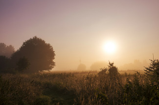 Sonnenaufgang über Wiesengrund